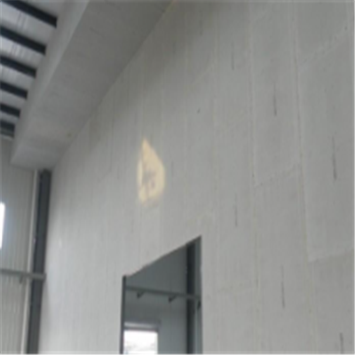老边宁波ALC板|EPS加气板隔墙与混凝土整浇联接的实验研讨